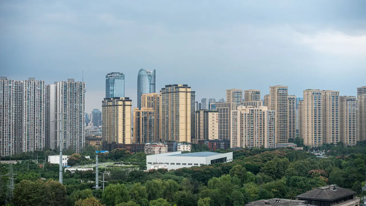 沙坪坝区童月依百货早教拼图系列产品技术优势解析