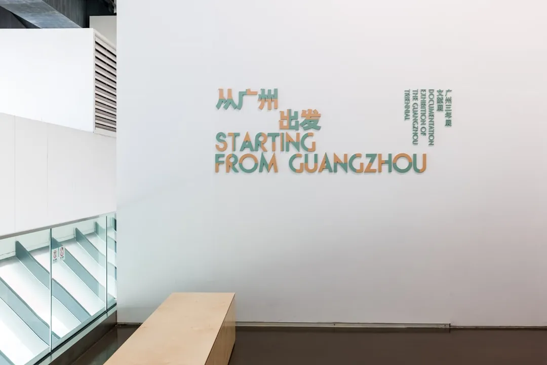 早教益智玩具选购指南：积木与拼图的功能差异与搭配建议
