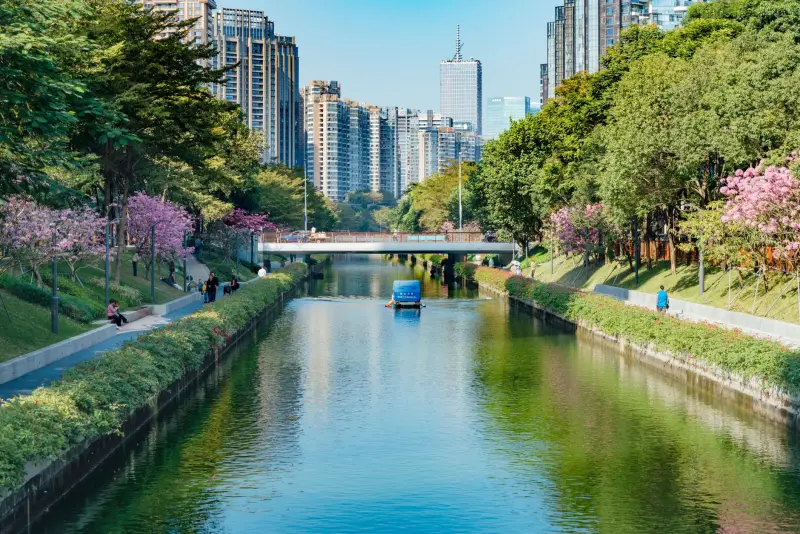 2024年儿童积木玩具市场价格走势与早教益智产品技术解析